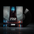 Vinyl Product Image